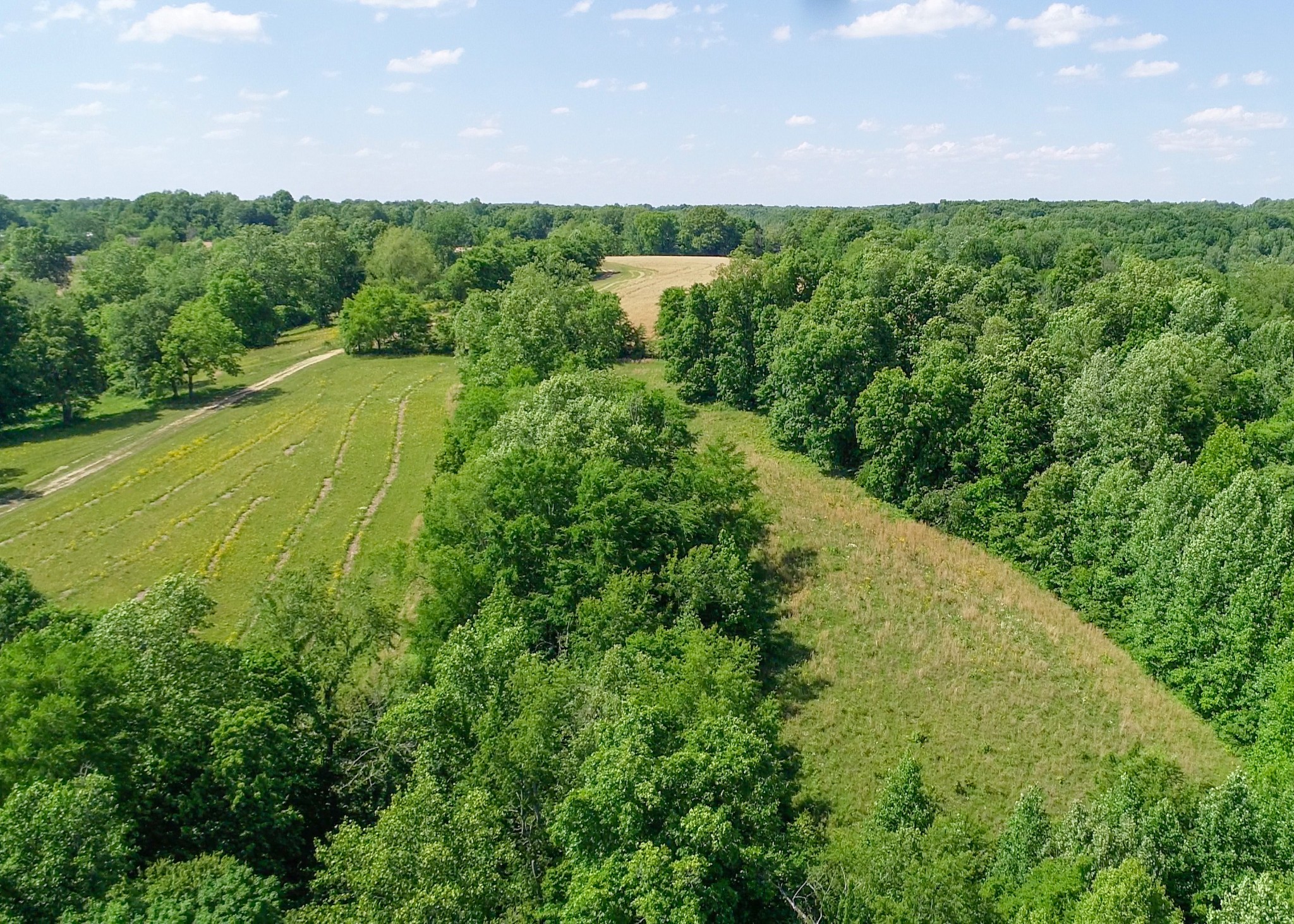 1125 Rose Hill Road Pulaski, TN 38478 - Photo 17 of 40 a view of a large yard with lots of green space and mountain view