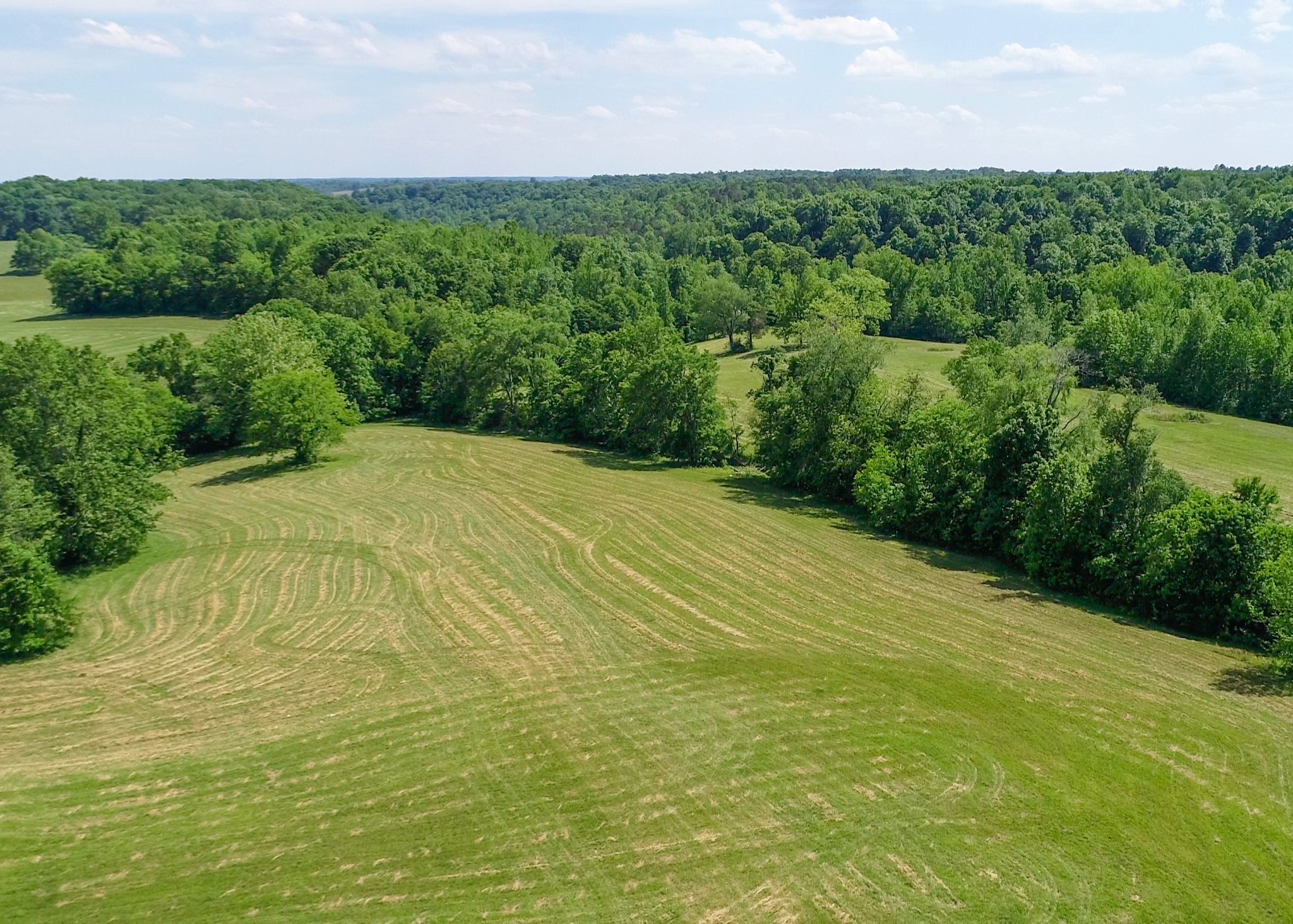 1125 Rose Hill Road Pulaski, TN 38478 - Photo 21 of 40 a view of a big yard with lots of green space and mountain view in back