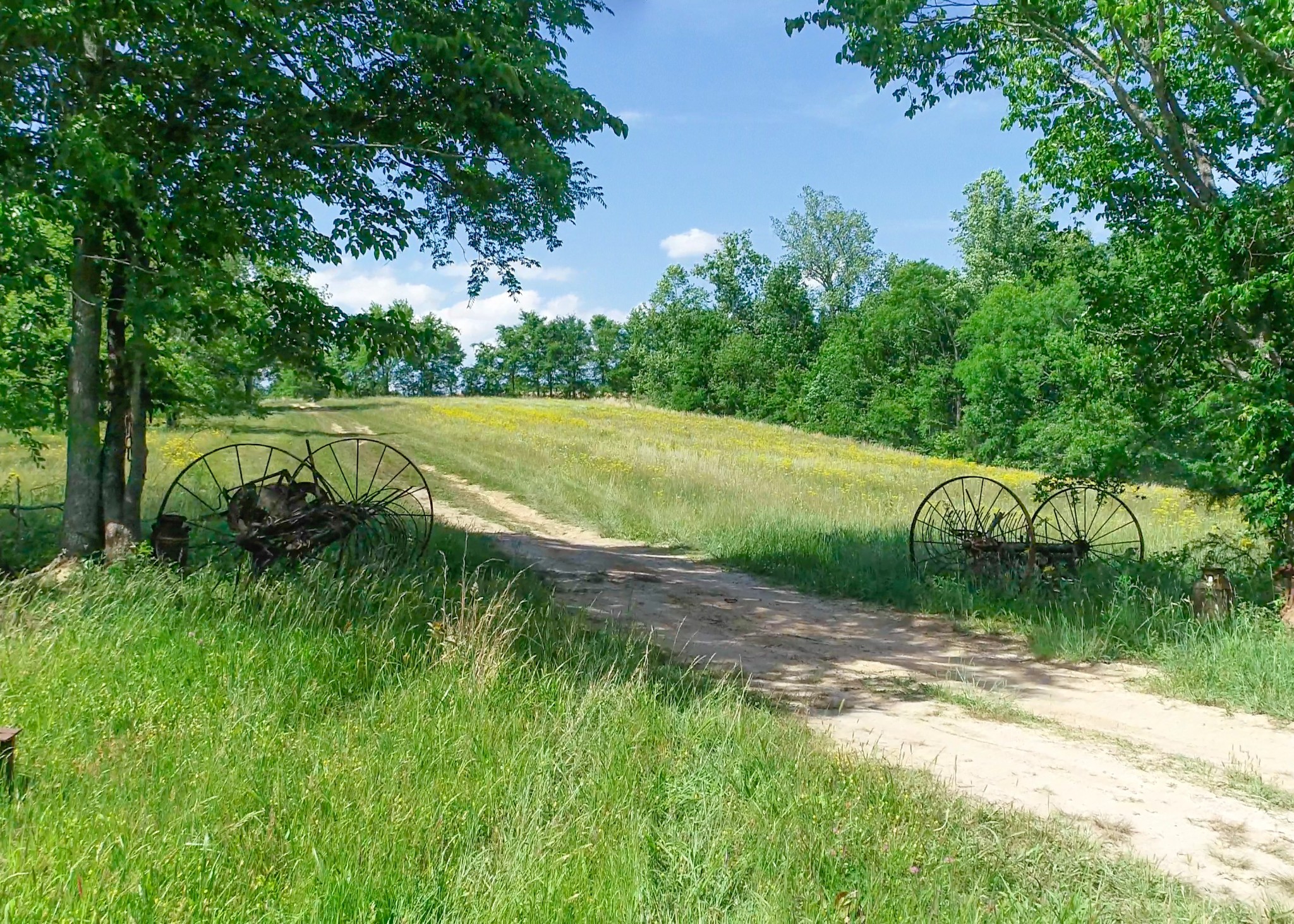 1125 Rose Hill Road Pulaski, TN 38478 - Photo 22 of 40 a view of a park with large trees