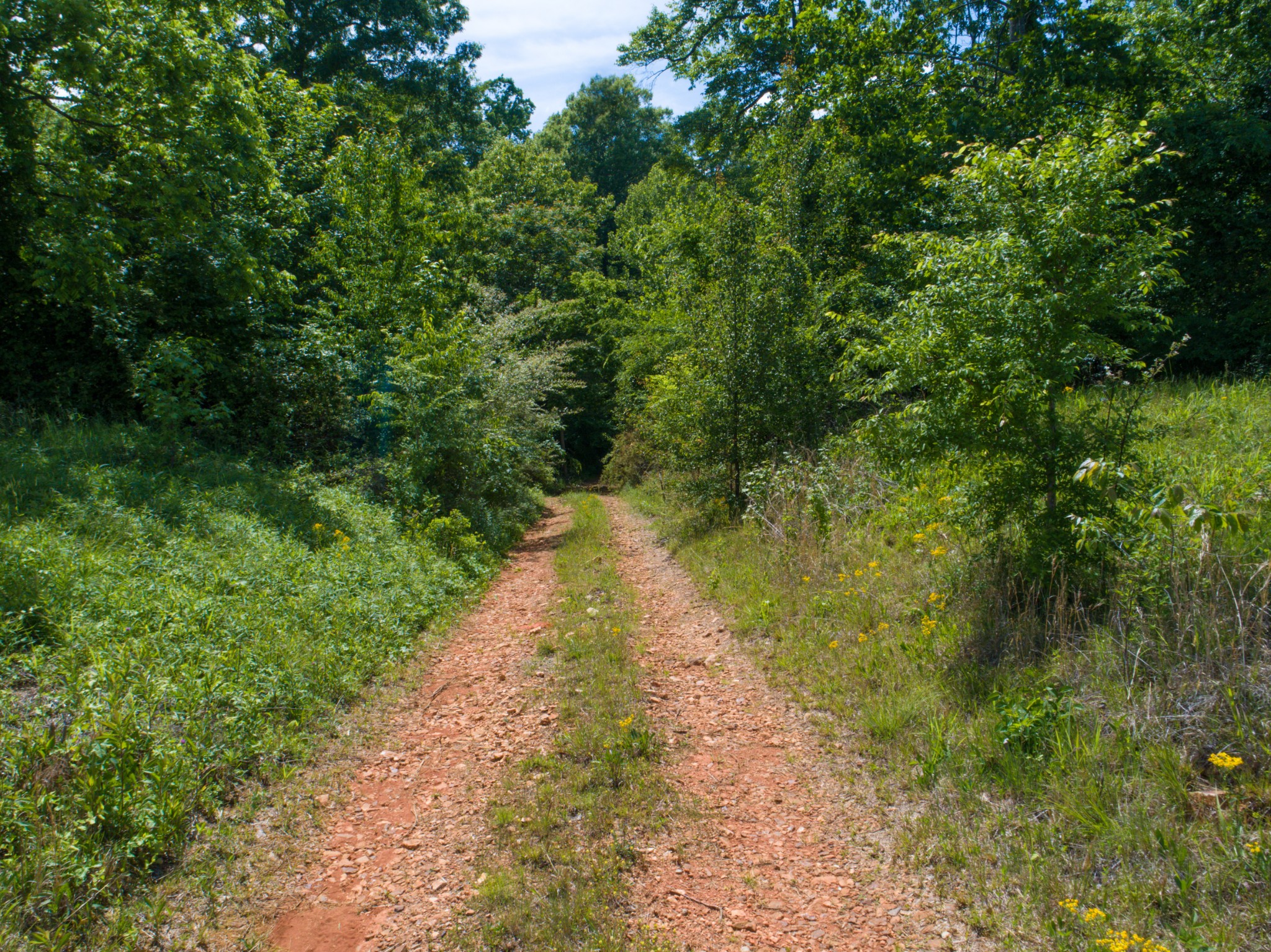 1125 Rose Hill Road Pulaski, TN 38478 - Photo 25 of 40 a view of a lake with a yard