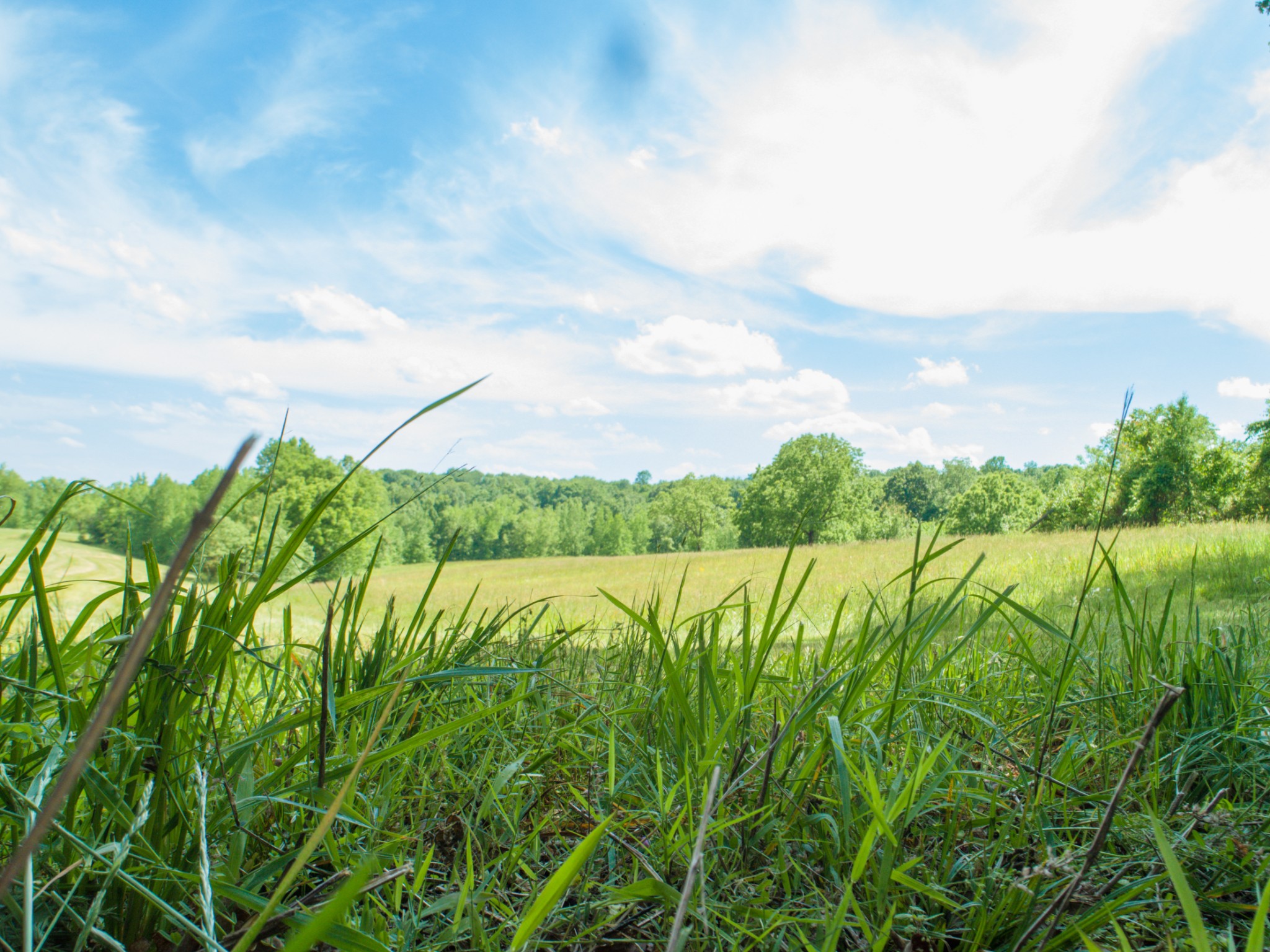 1125 Rose Hill Road Pulaski, TN 38478 - Photo 26 of 40 a view of lake with green space