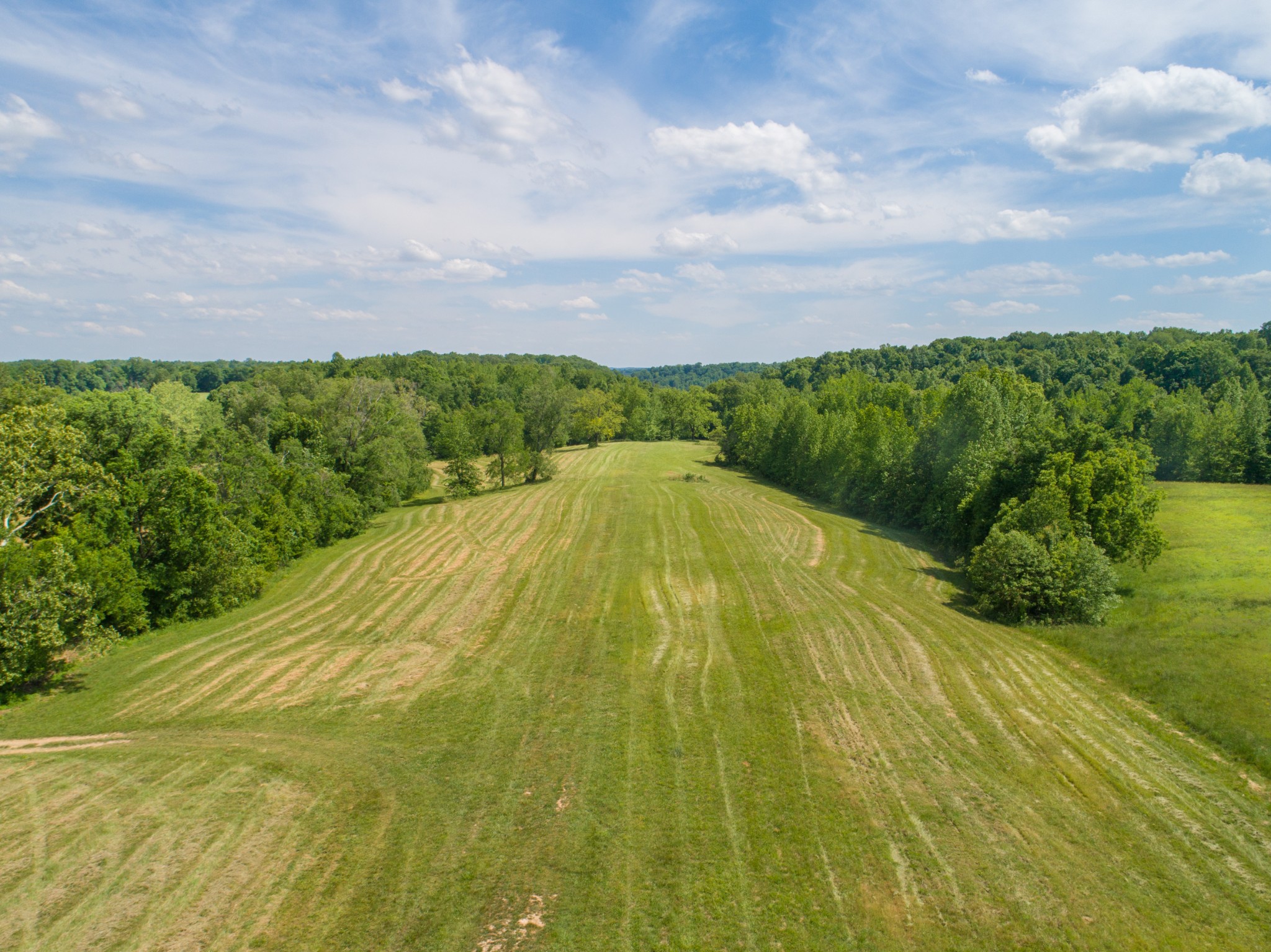 1125 Rose Hill Road Pulaski, TN 38478 - Photo 28 of 40 a view of a yard