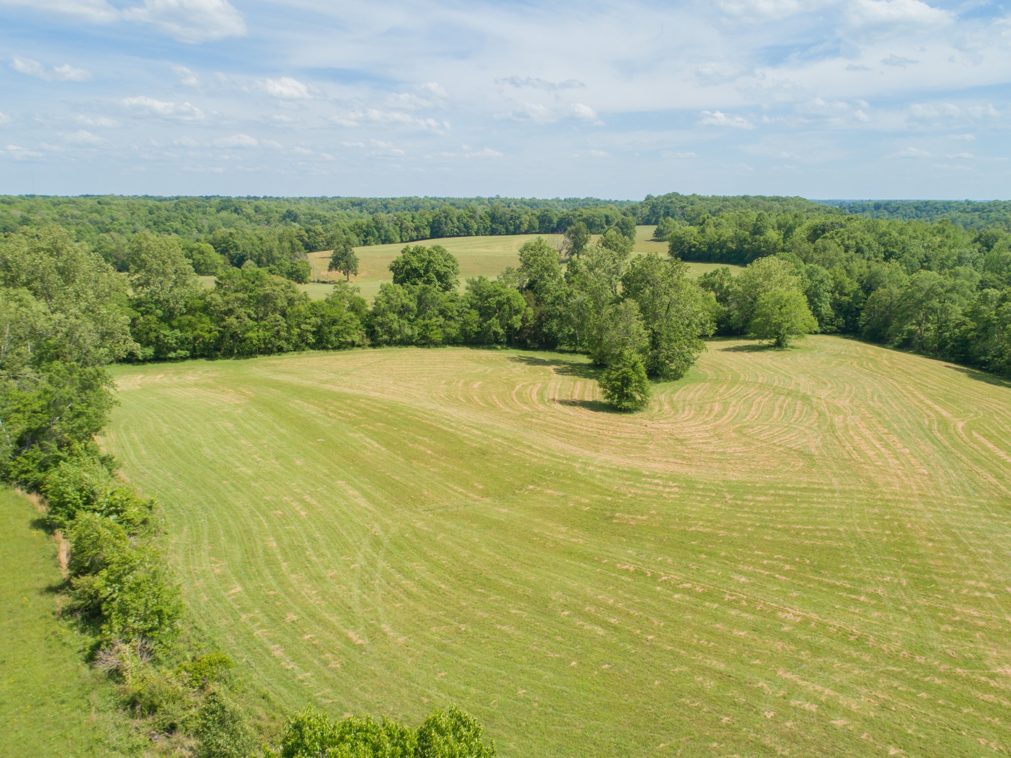 1125 Rose Hill Road Pulaski, TN 38478 - Photo 32 of 40 a view of a big yard with an outdoor space