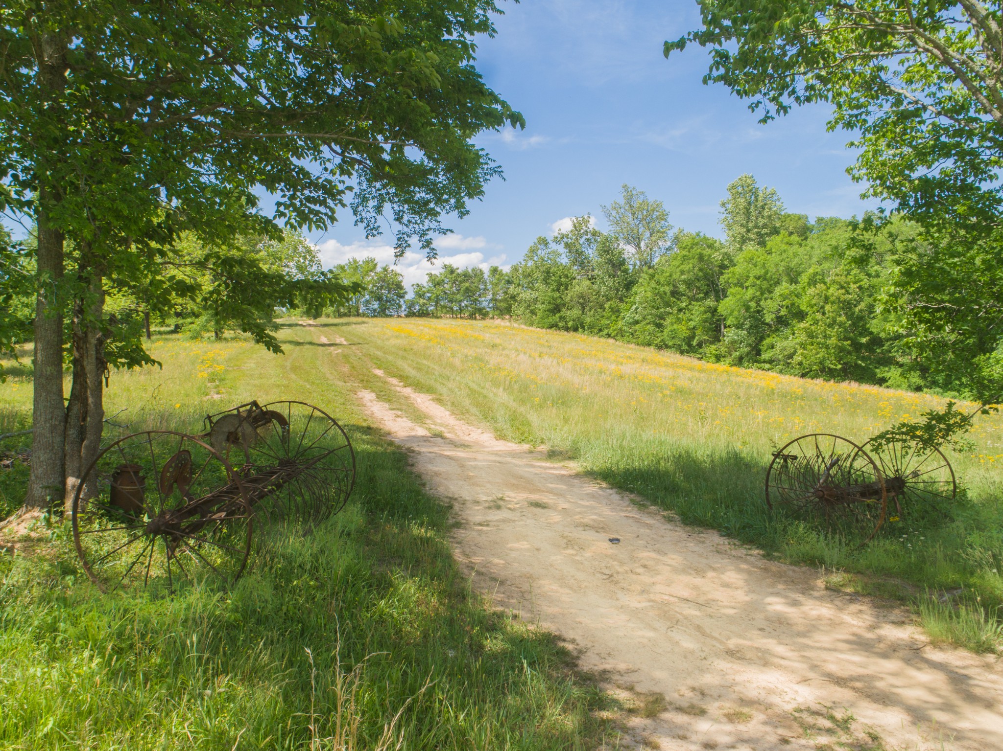 1125 Rose Hill Road Pulaski, TN 38478 - Photo 34 of 40 a view of a yard with an outdoor space