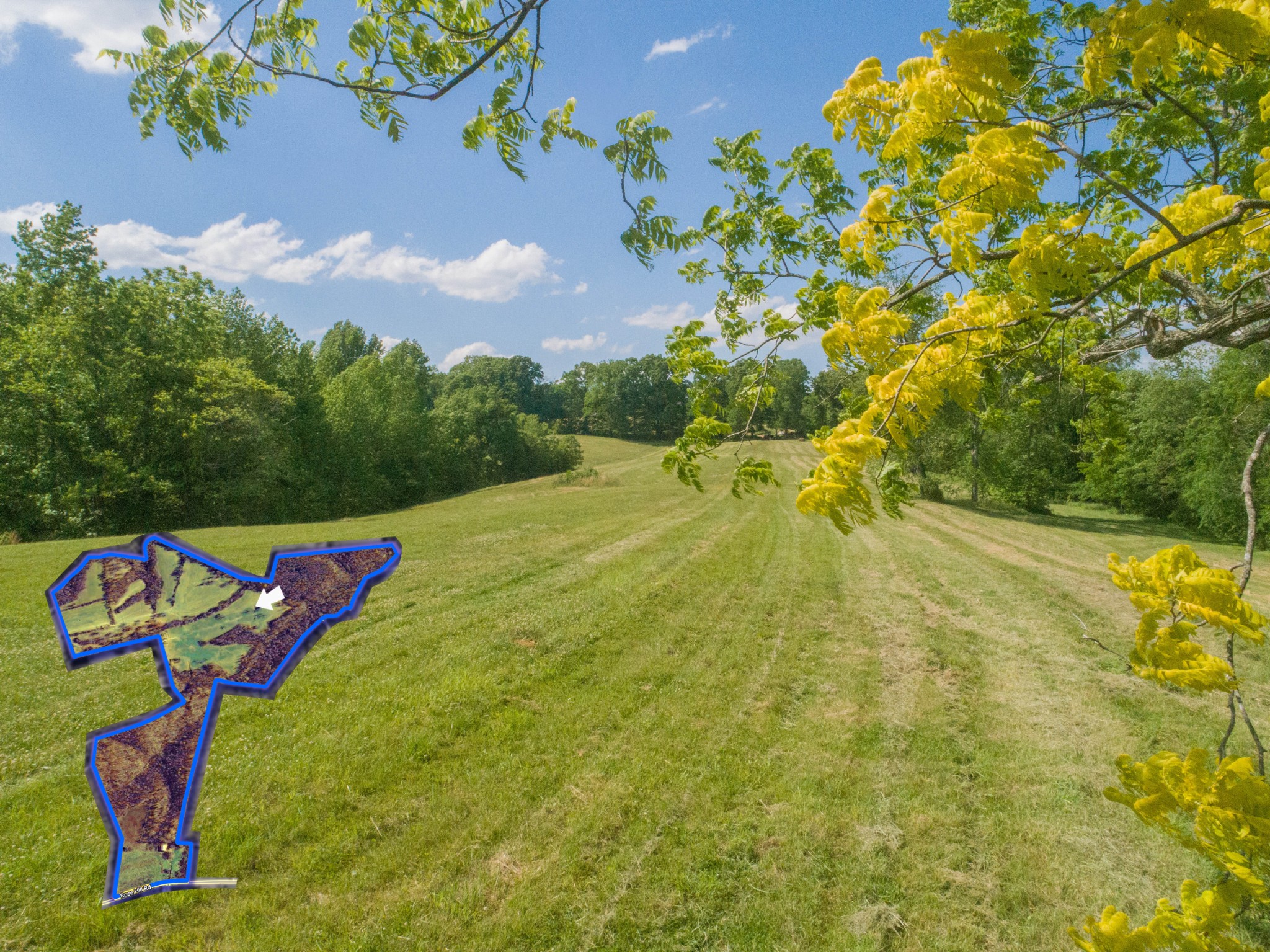 1125 Rose Hill Road Pulaski, TN 38478 - Photo 35 of 40