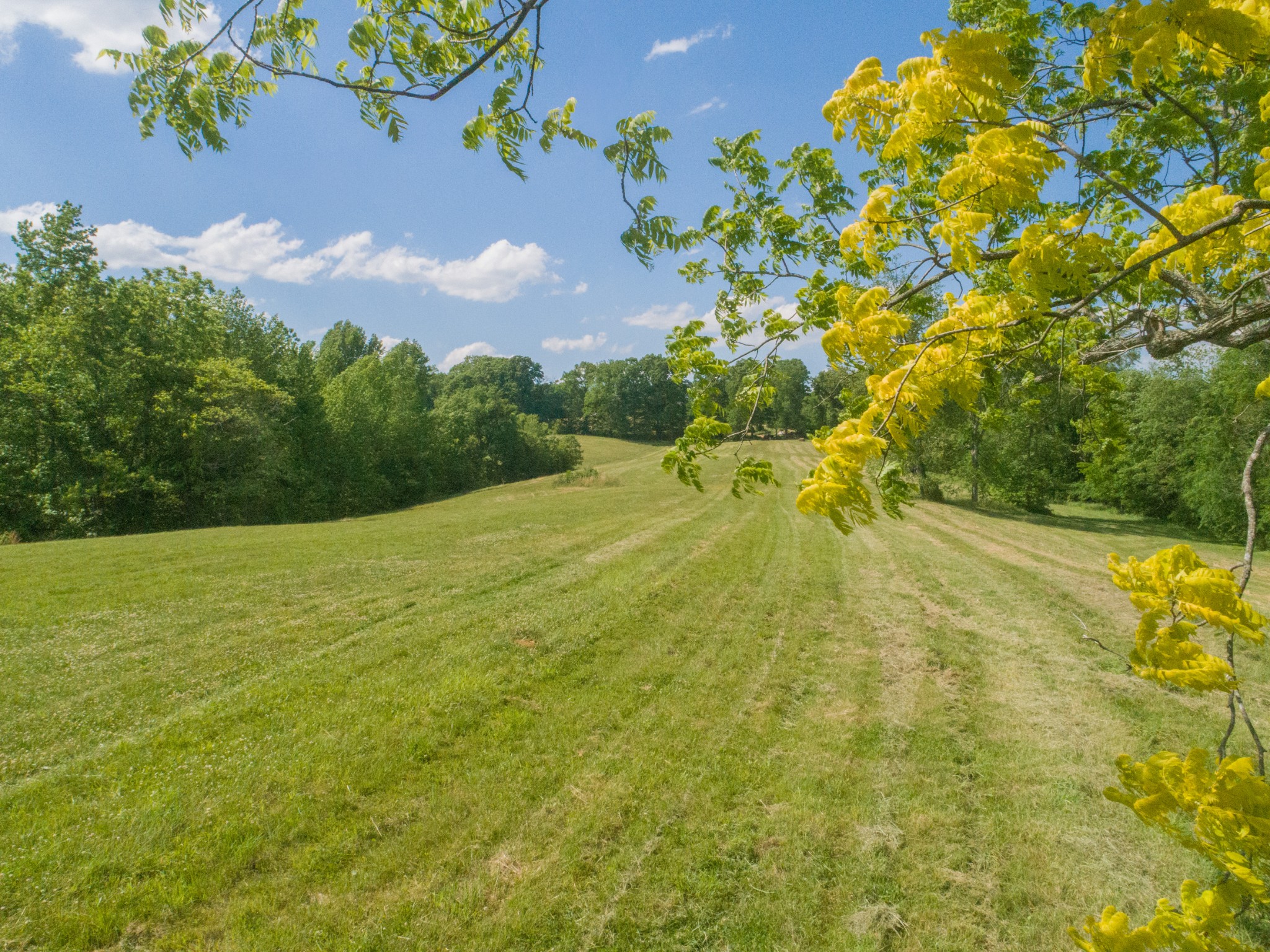 1125 Rose Hill Road Pulaski, TN 38478 - Photo 36 of 40 a view of a yard