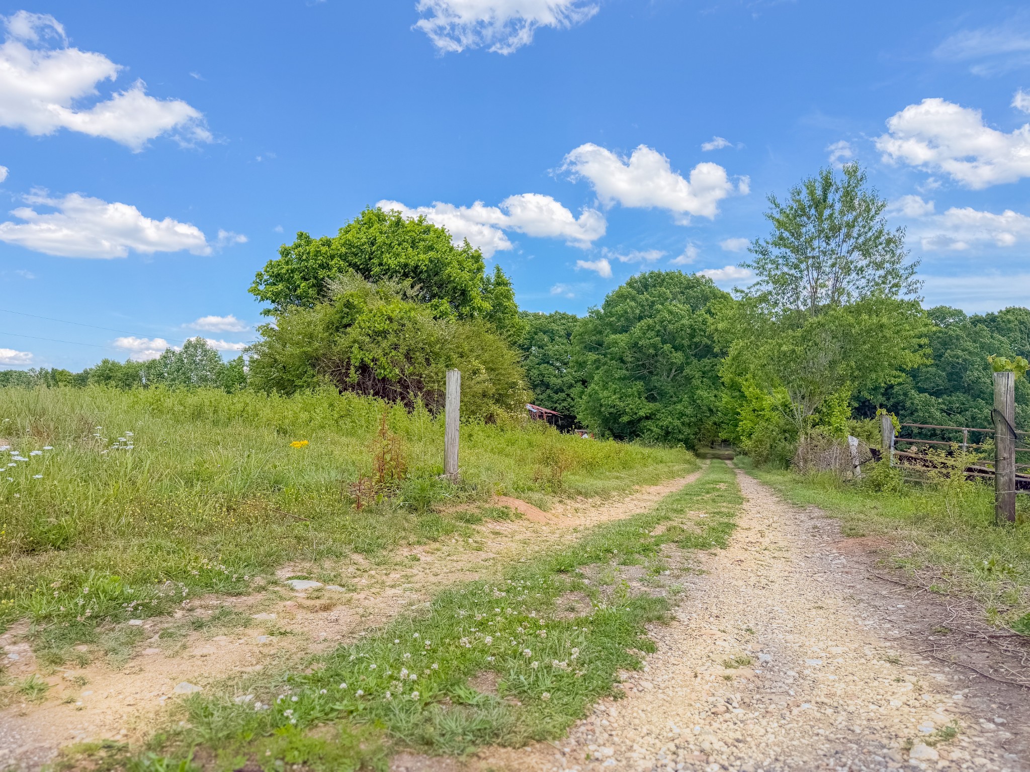 1125 Rose Hill Road Pulaski, TN 38478 - Photo 40 of 40 a view of a yard with a tree