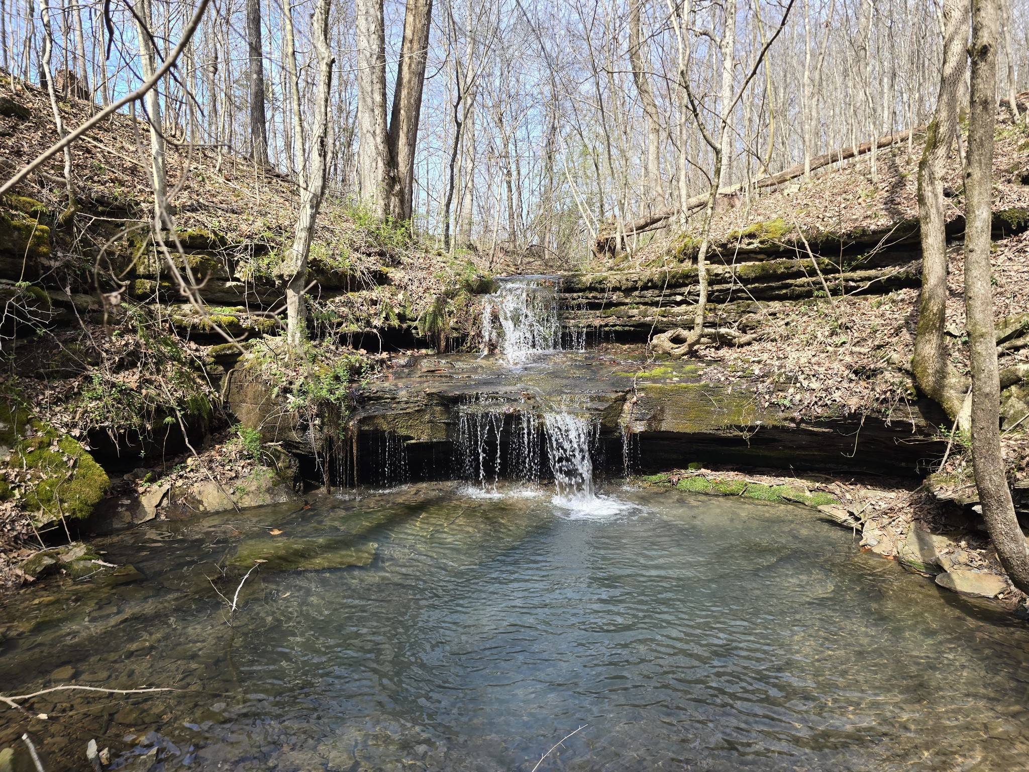 1125 Rose Hill Road Pulaski, TN 38478 - Photo 4 of 40 a view of ocean