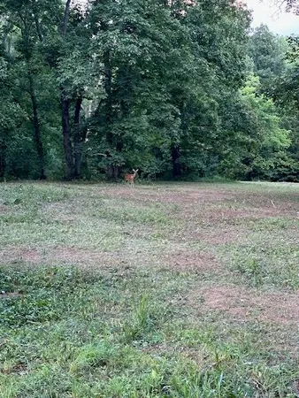 $1,311,775 | 1125 Rose Hill Road, Pulaski, TN 38478