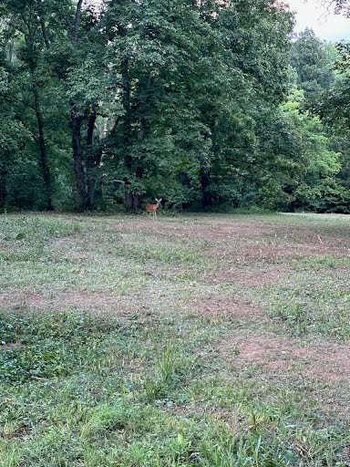 1125 Rose Hill Road Pulaski, TN 38478 - Photo 5 of 9