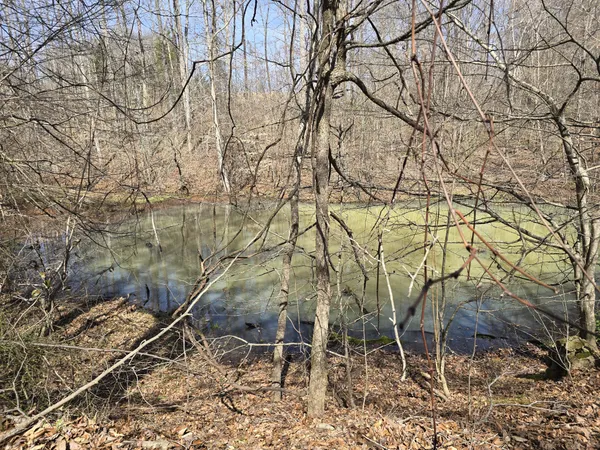 $1,311,775 | 1125 Rose Hill Road, Pulaski, TN 38478