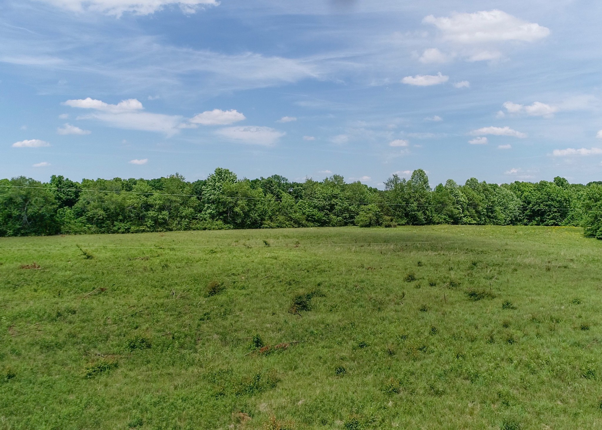 1125 Rose Hill Road Pulaski, TN 38478 - Photo 9 of 40 a view of a garden