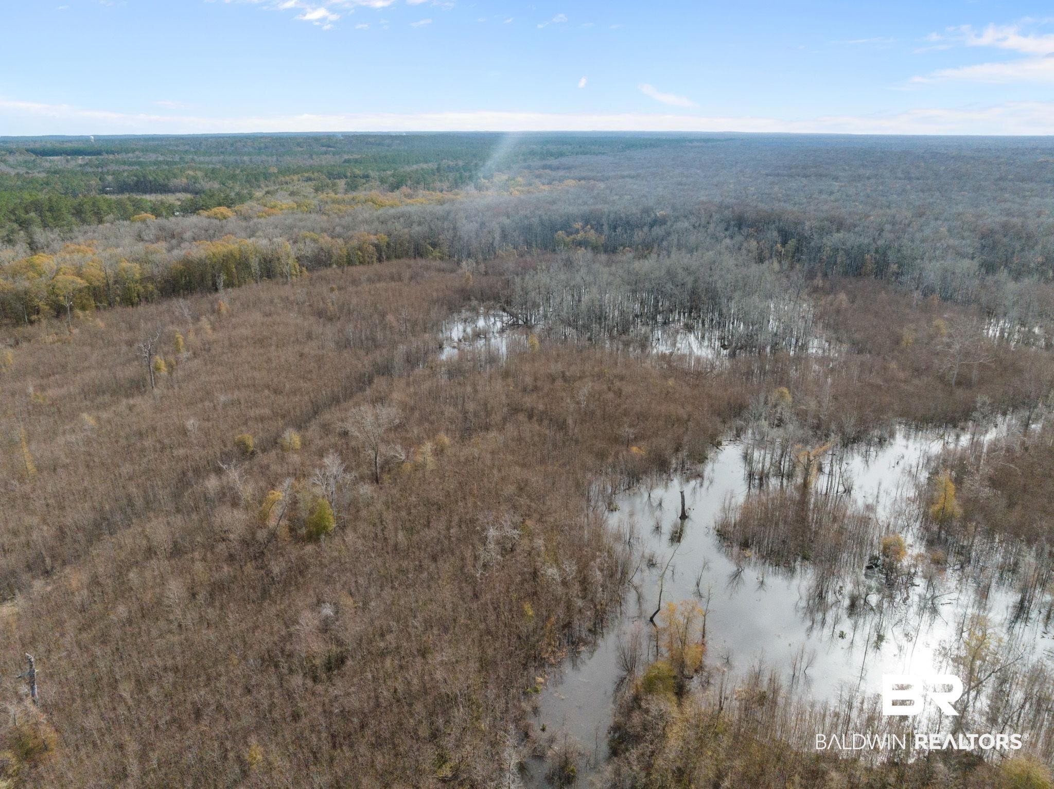 0 Bryant's Lndg Road Stockton, AL 36579 - Photo 21 of 29