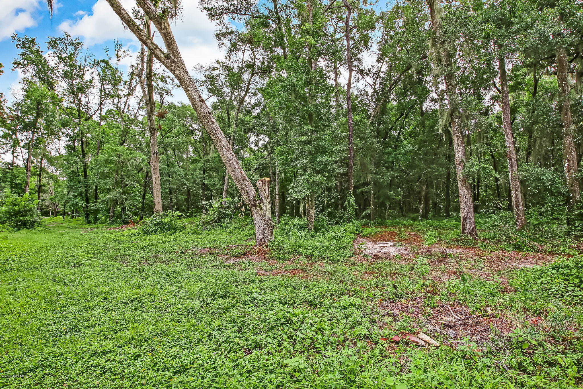 13480 Mandarin Road Jacksonville, FL 32223 - Photo 20 of 32 13480 Mandarin Road