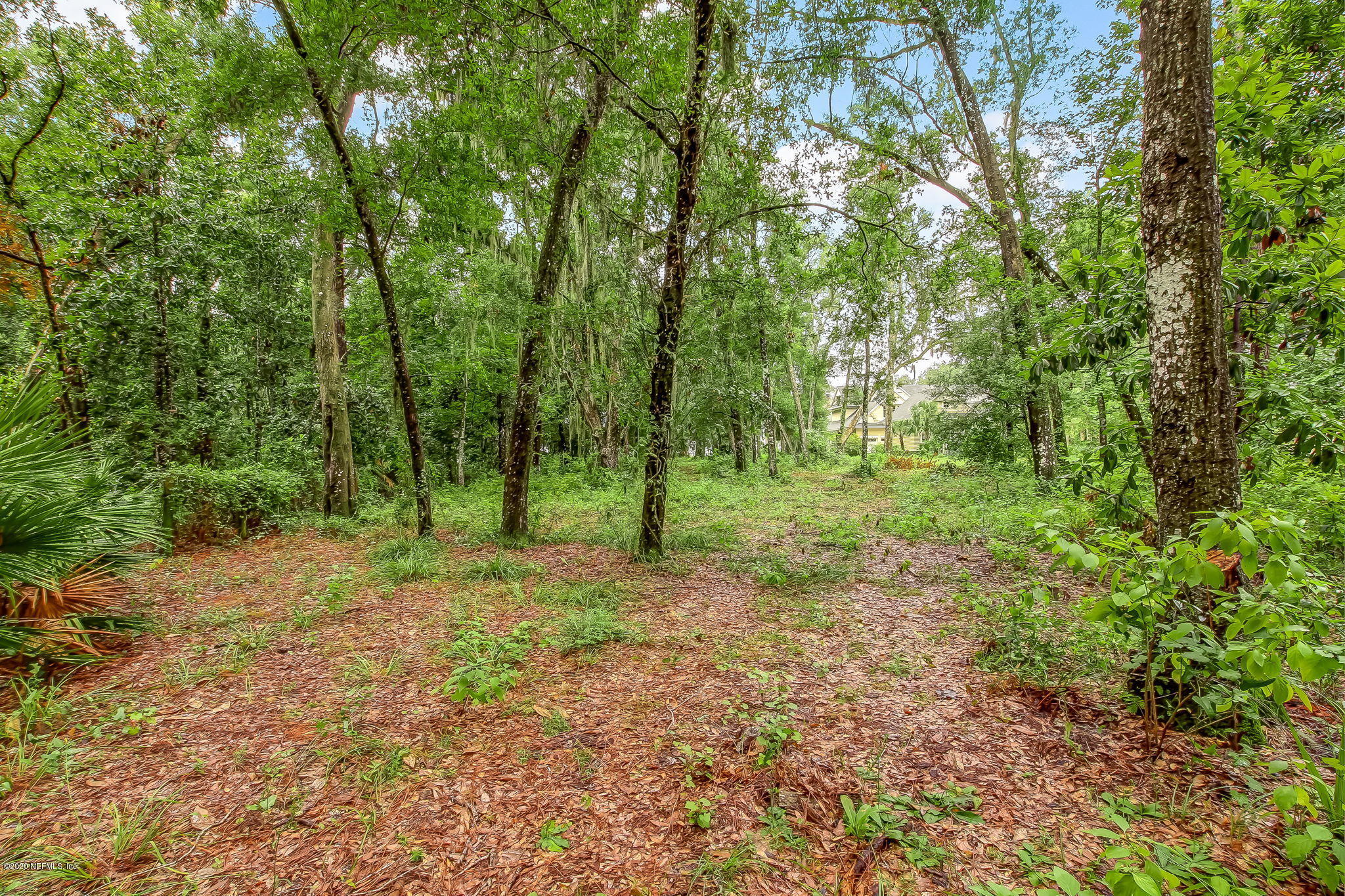 13480 Mandarin Road Jacksonville, FL 32223 - Photo 8 of 32 13480 Mandarin Road