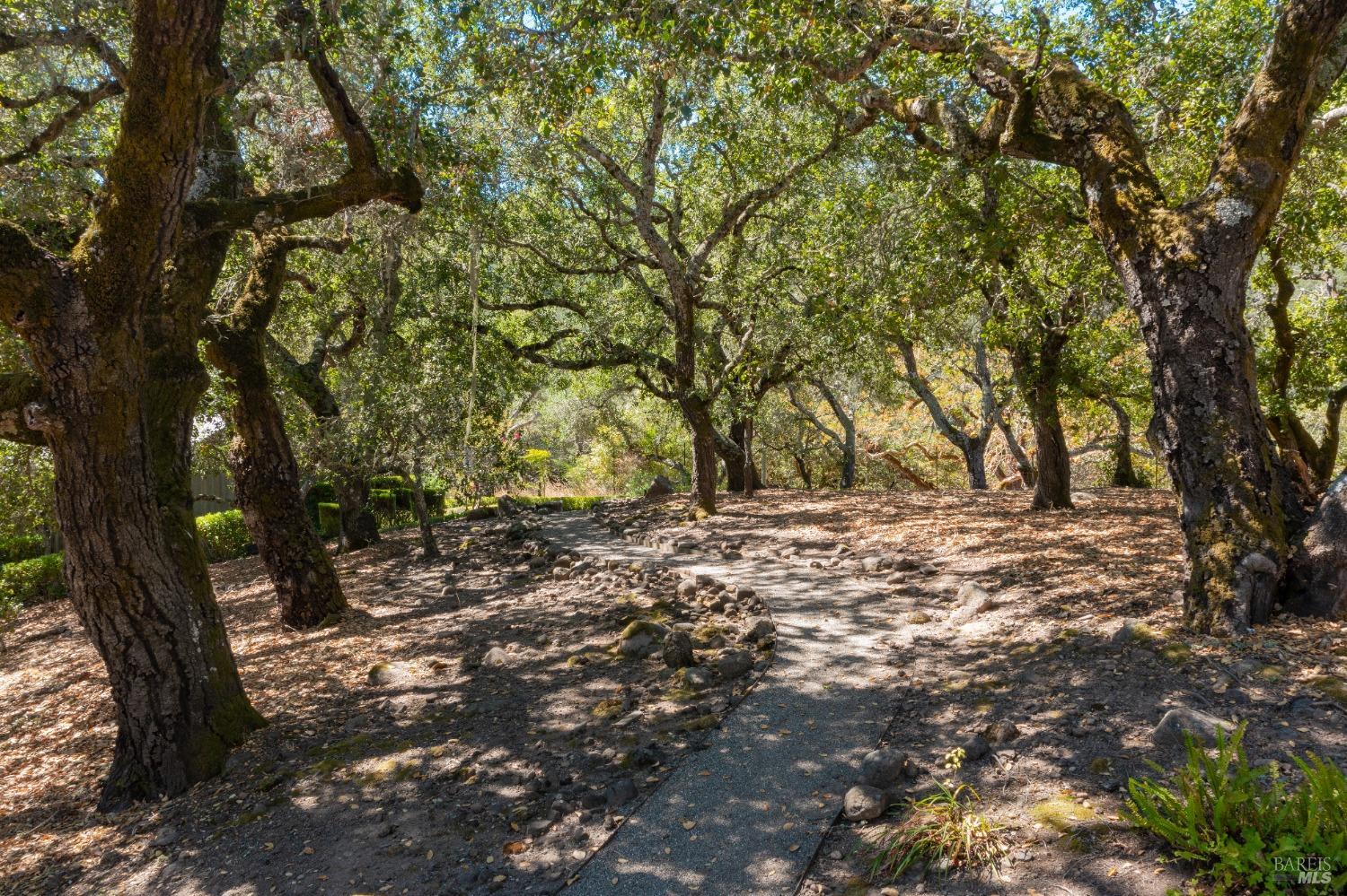 775 White Oak Drive Santa Rosa, CA 95409 - Photo 42 of 62 a view of outdoor space and yard