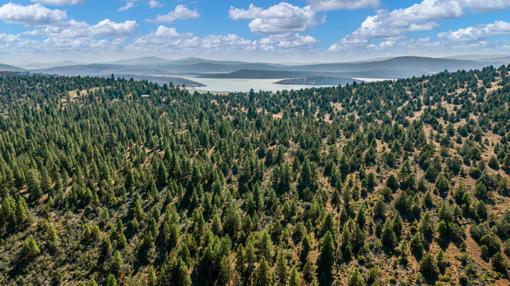 Lot 26 Simpson Canyon Road Klamath Falls, OR 97601 - Photo 32 of 33 SimpsonCanyonLand-28