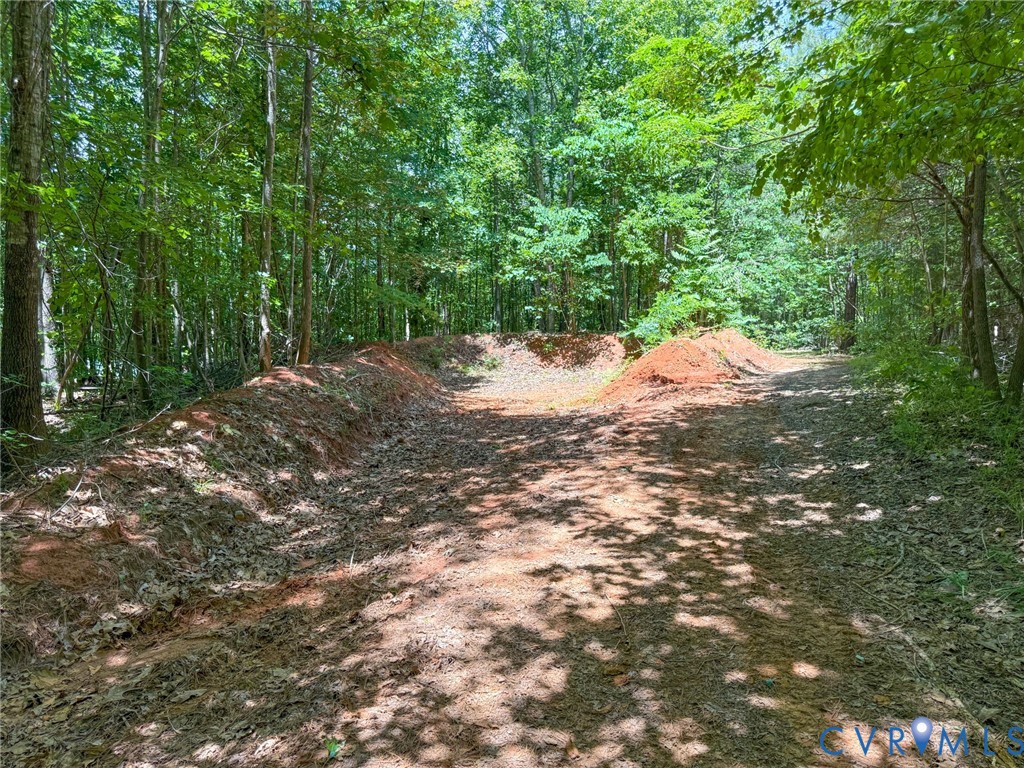 2293 Turkey Island Road Crewe, VA 23930 - Photo 33 of 36