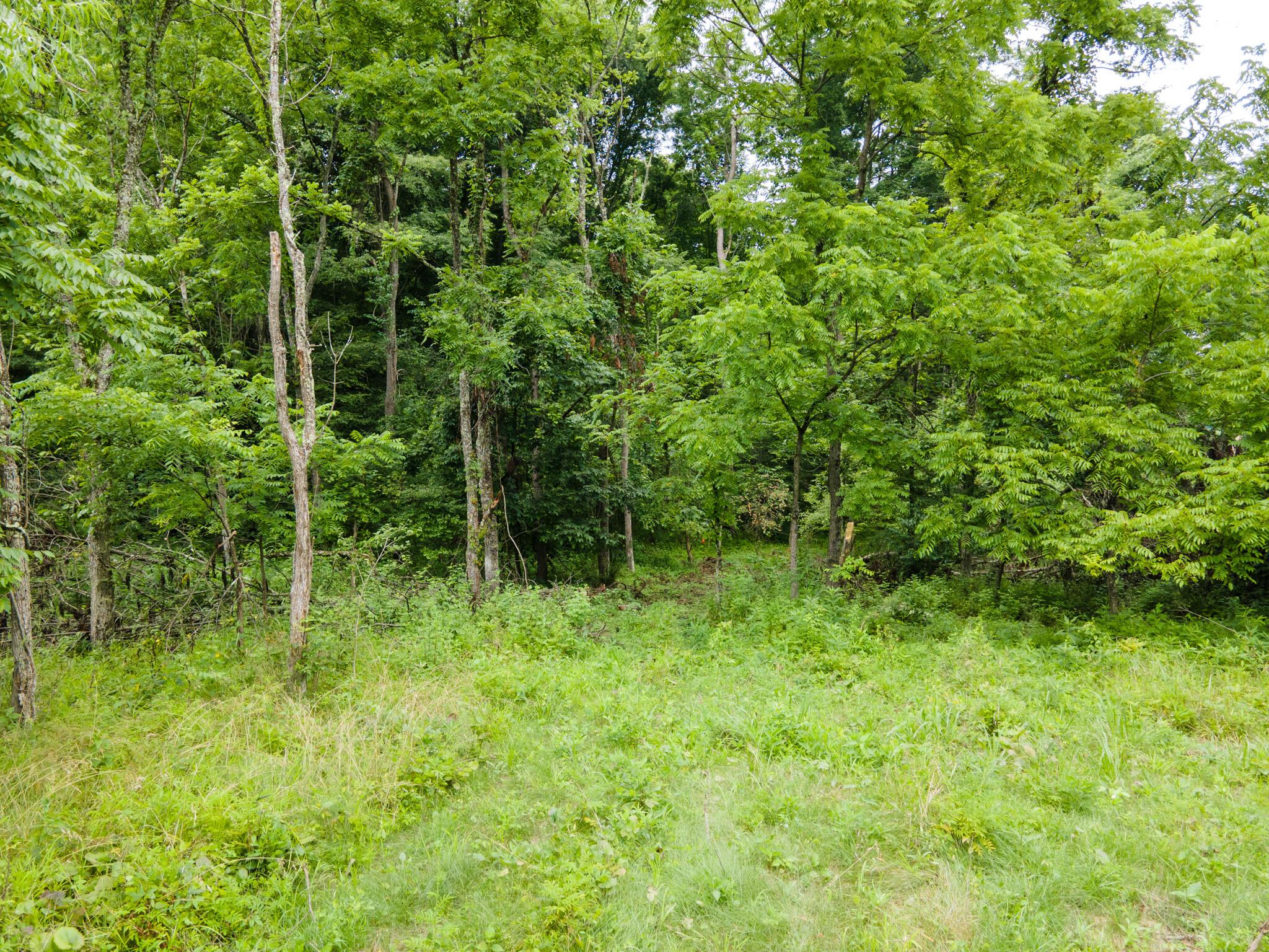 0 White Eyes Road Norwich, OH 43767 - Photo 12 of 14 DJI_0025