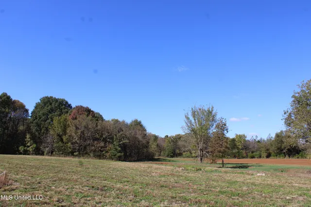 $35,000 | 39 Pin Oak Road, Michigan City, MS 38647