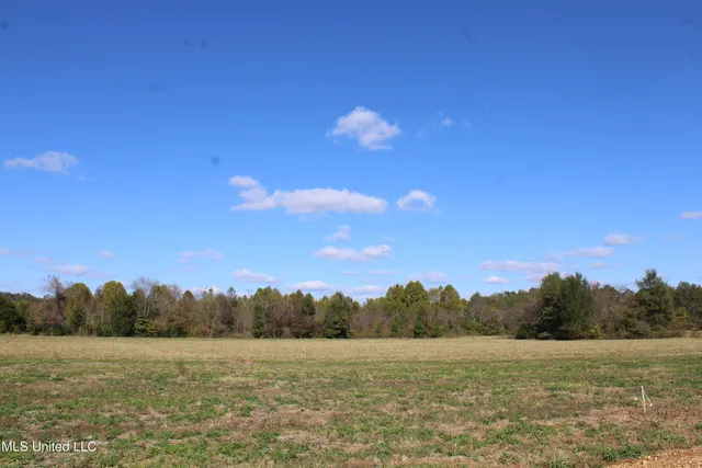 $35,000 | 39 Pin Oak Road, Michigan City, MS 38647