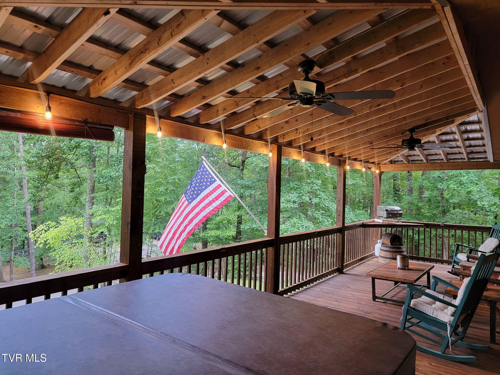 118 Managoff Lane Butler, TN 37640 - Photo 37 of 65 20250810_192632