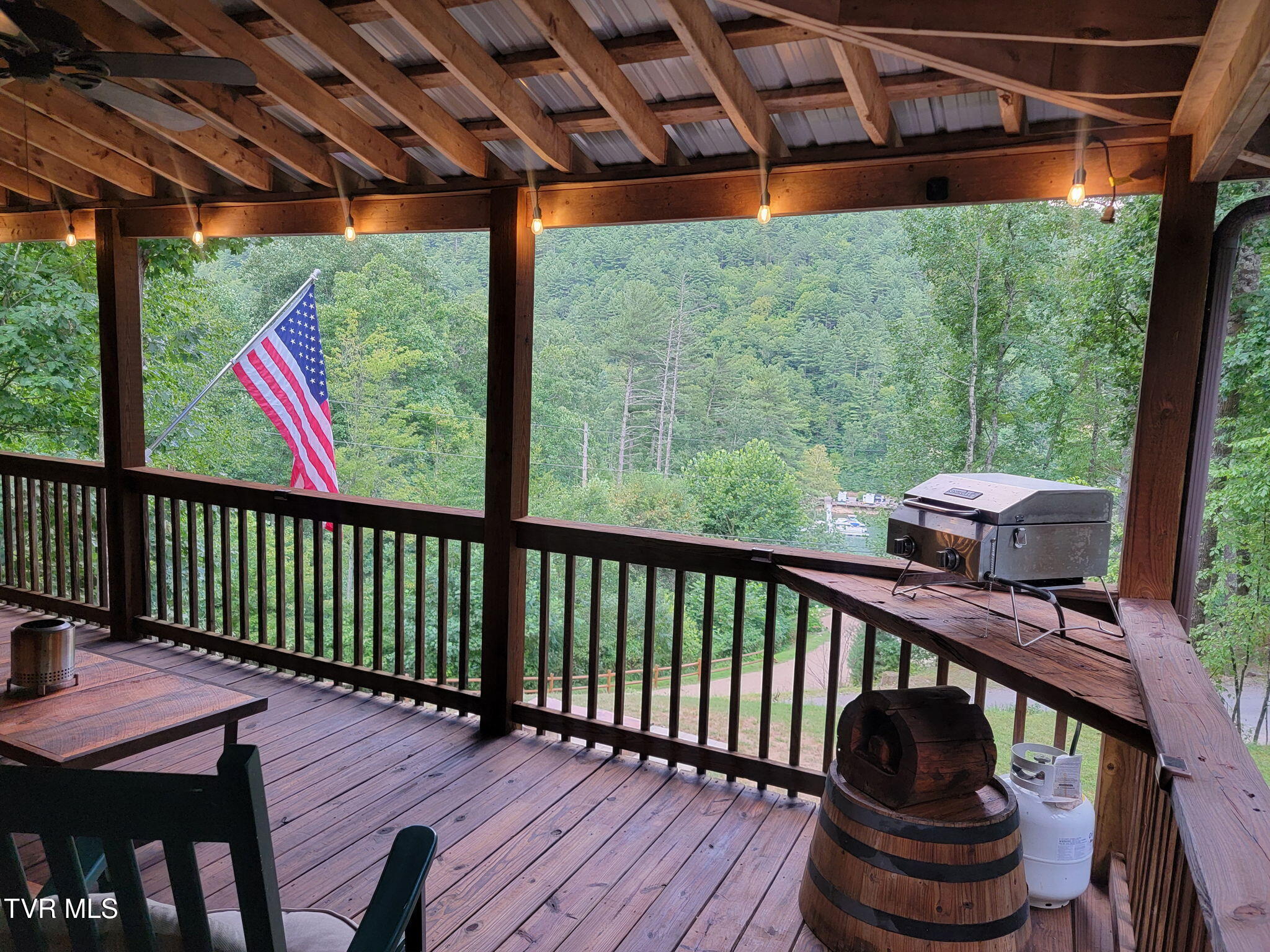 118 Managoff Lane Butler, TN 37640 - Photo 38 of 65 20250810_192651