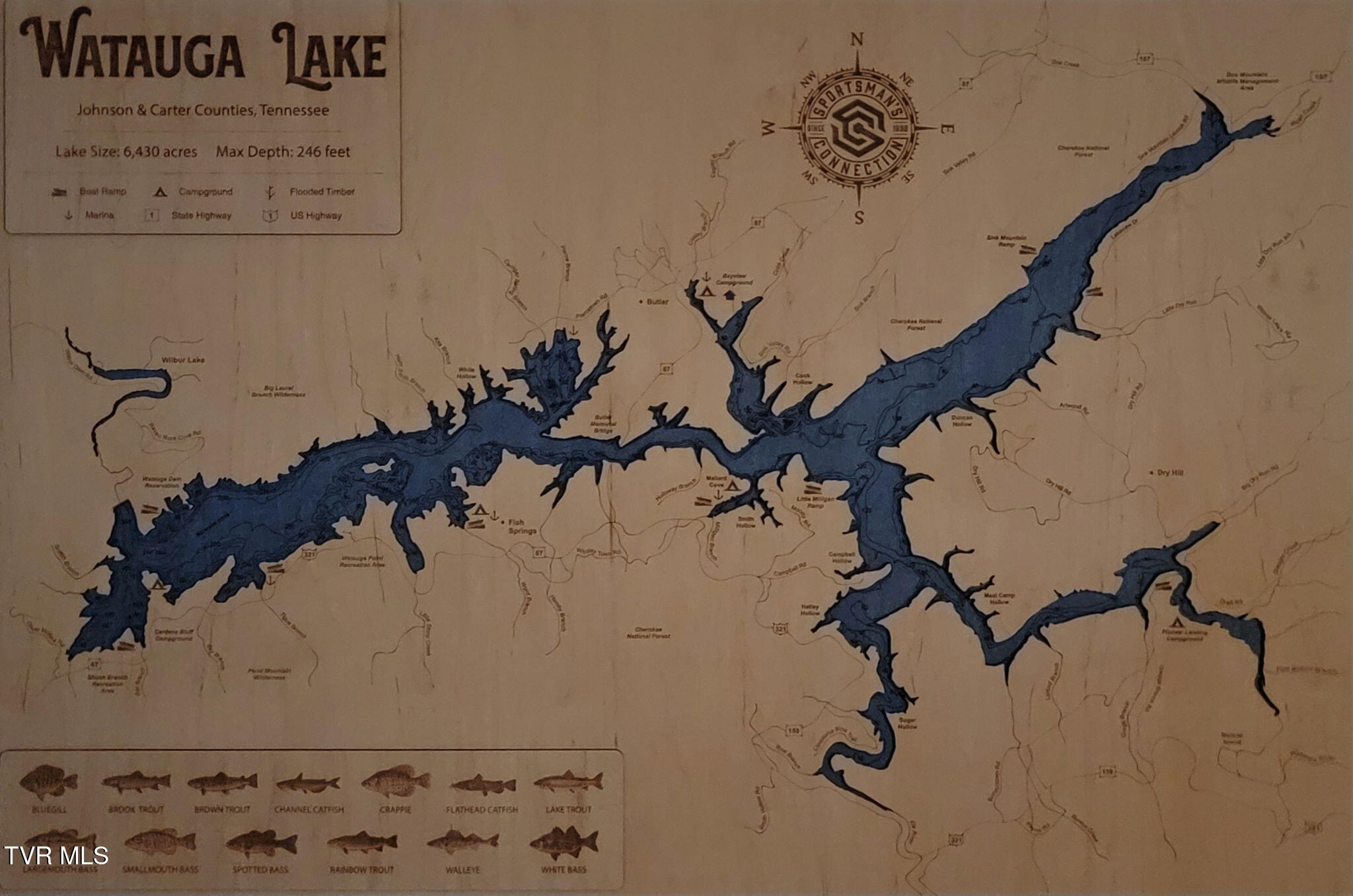 118 Managoff Lane Butler, TN 37640 - Photo 64 of 65 20250713_205448