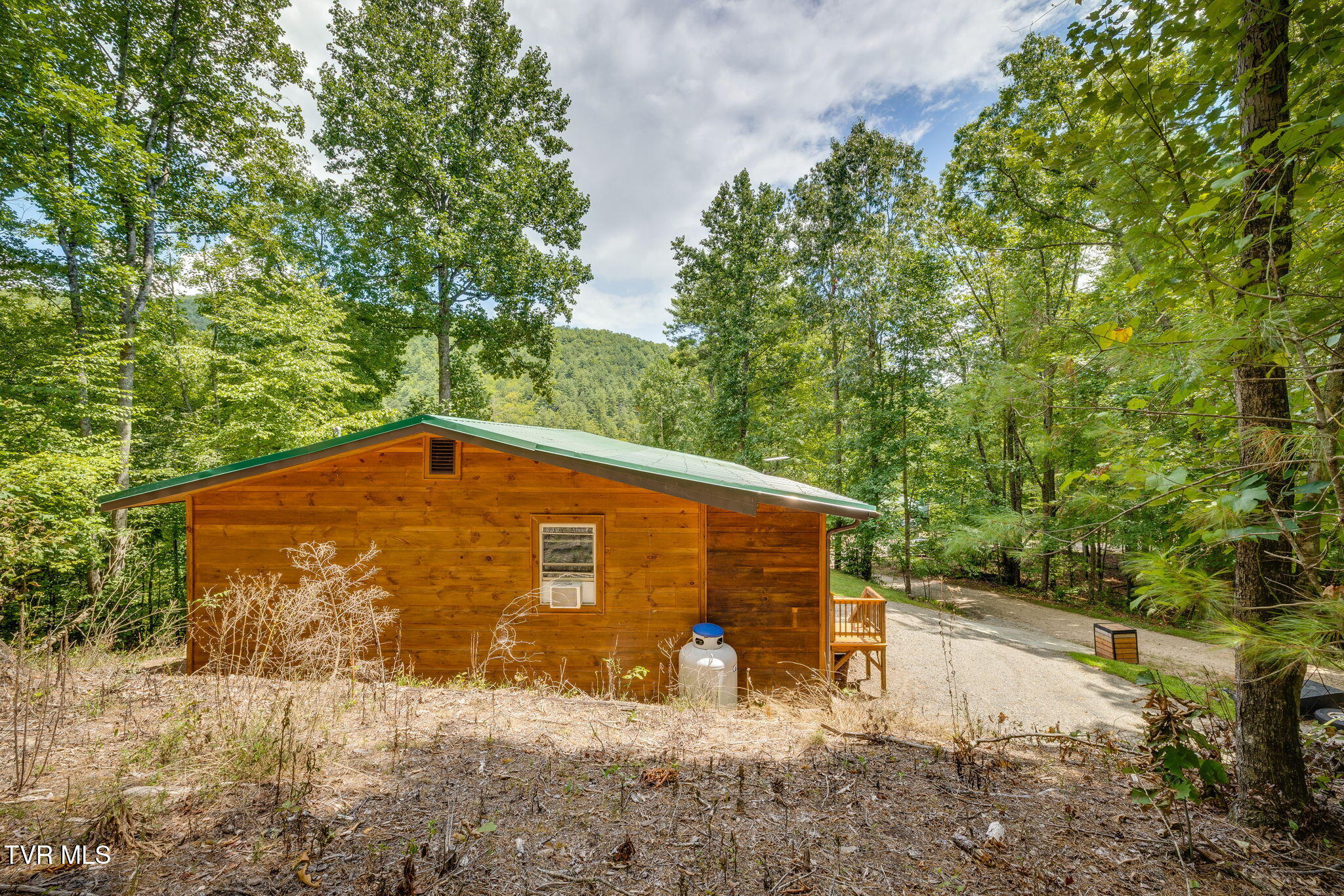 118 Managoff Lane Butler, TN 37640 - Photo 65 of 65 025