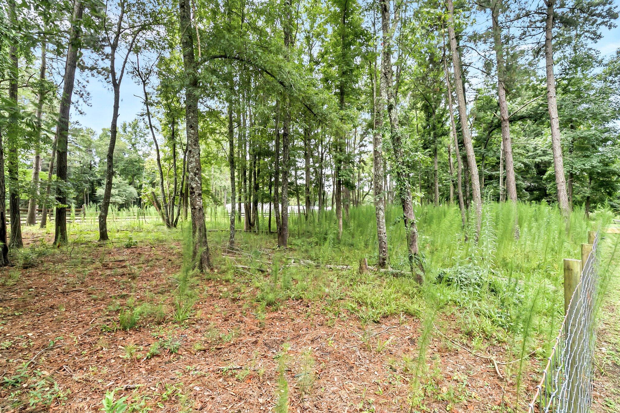 3123 Wire Road St. George, SC 29477 - Photo 48 of 61 CREM - 3123 Wire Rd-68