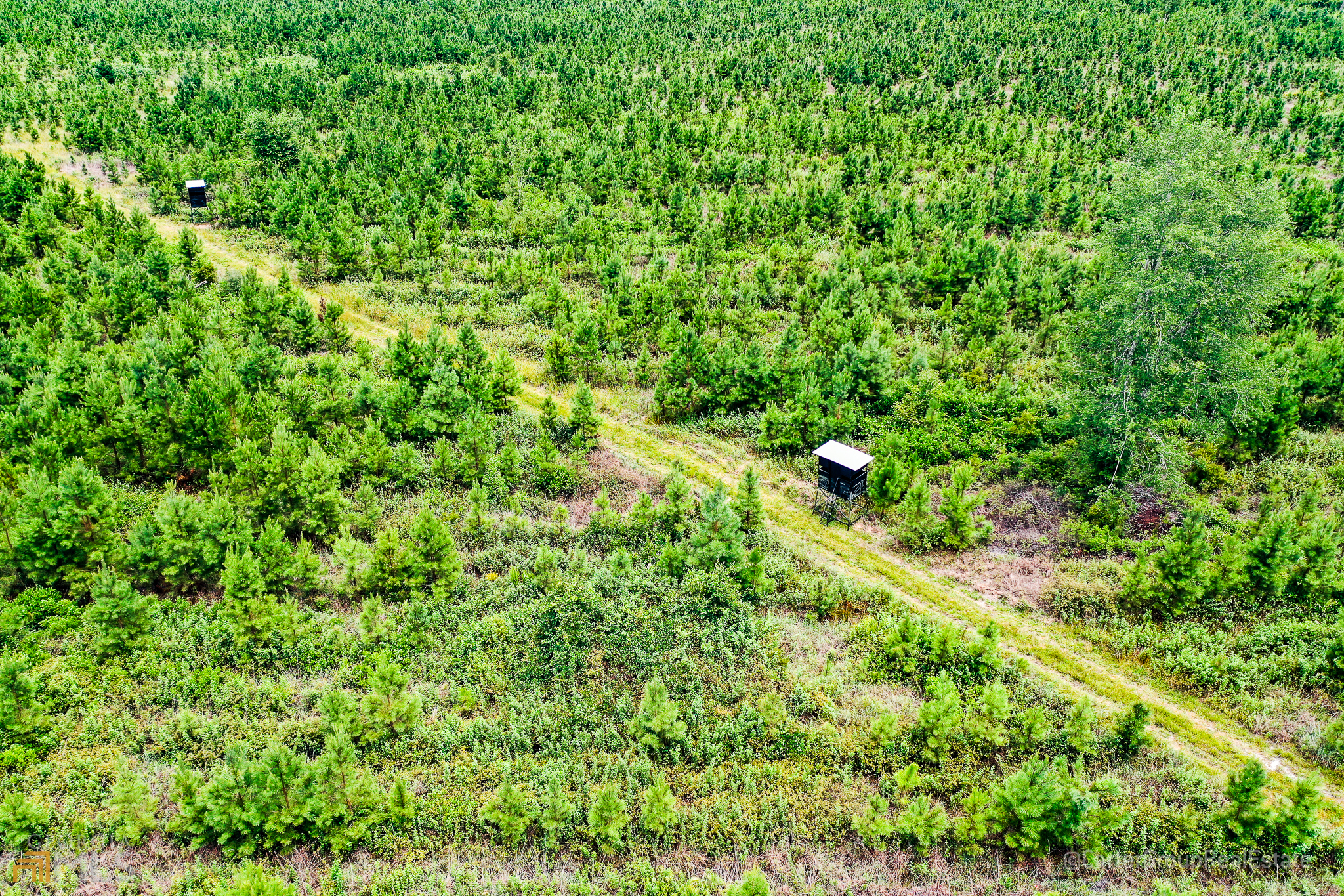 0 Suwannee Chapel Road Waycross, GA 31503 - Photo 1 of 1 Gallery Image 1
