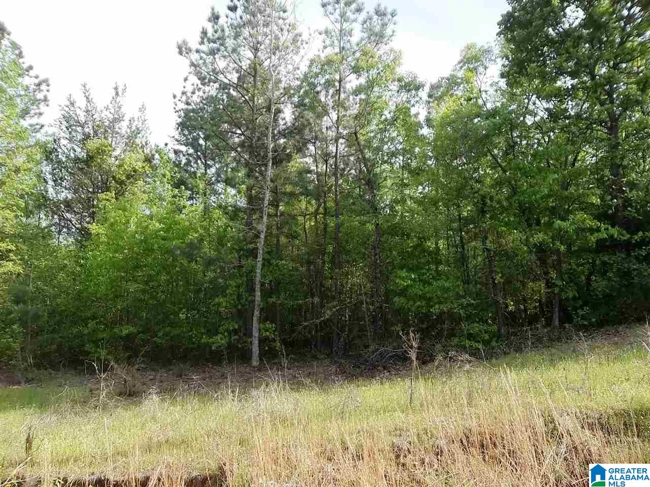 Stockdale Road, Unit 11 81 Talladega, AL 35160 - Photo 3 of 4