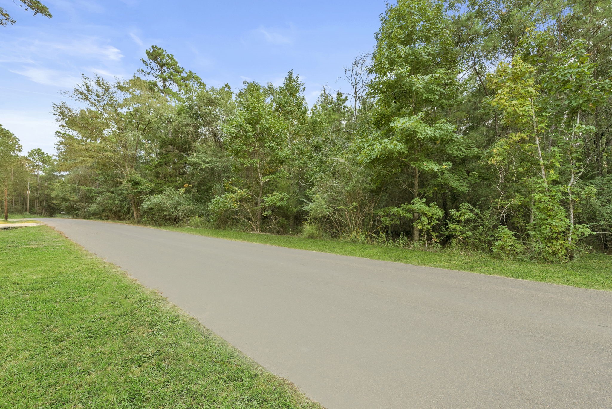 0 County Road 201 Loop Plantersville, TX 77363 - Photo 2 of 16