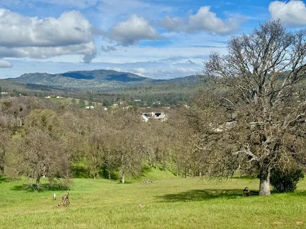 a view of a field with an trees