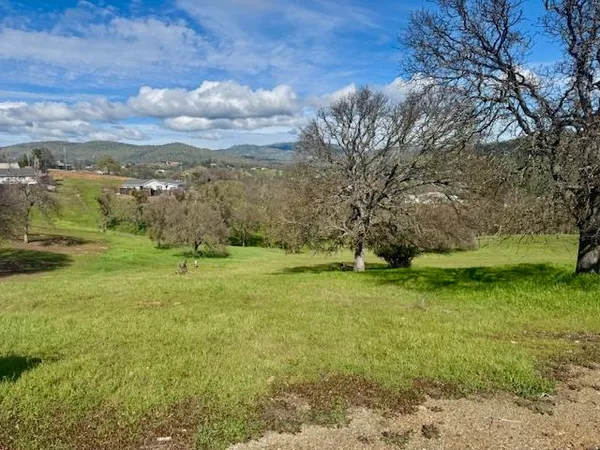a view of a field with a tree