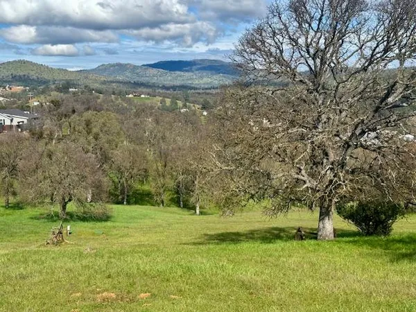 a view of a field with a tree
