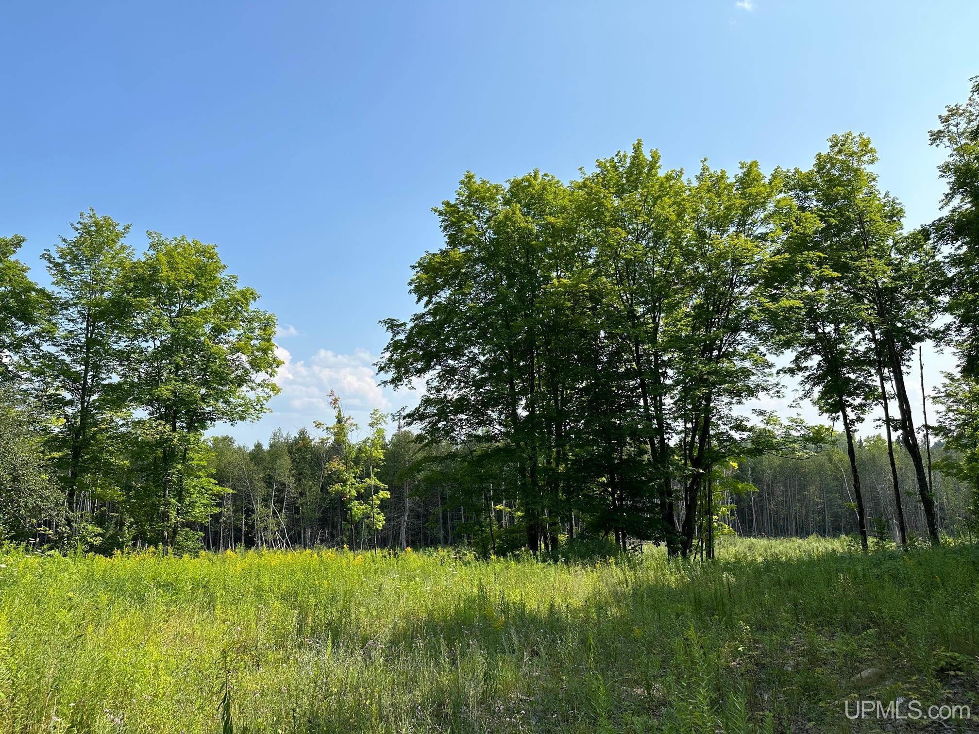 426 Rd Felch Mi 49831 Road Hancock, MI 49930 - Photo 2 of 10 Gallery Image 2