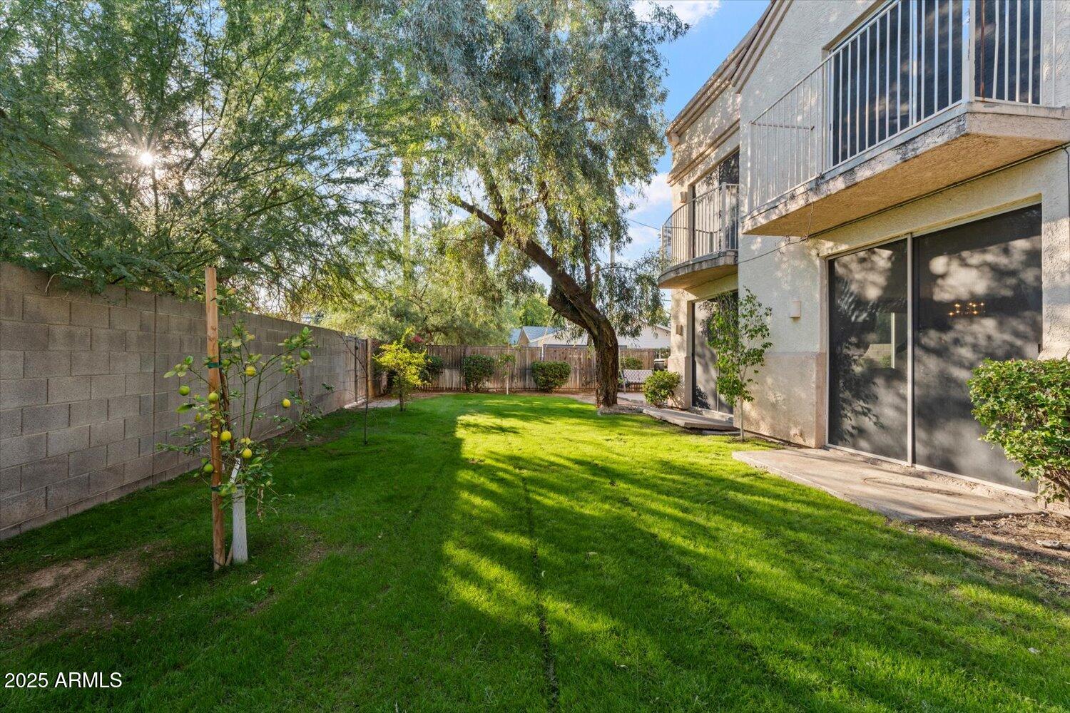 6002 North 5th Place Phoenix, AZ 85014 - Photo 24 of 26 backyard2