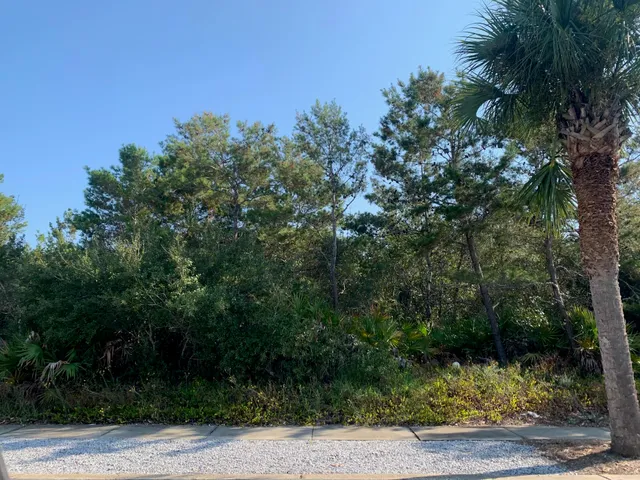 a view of a lake from a yard