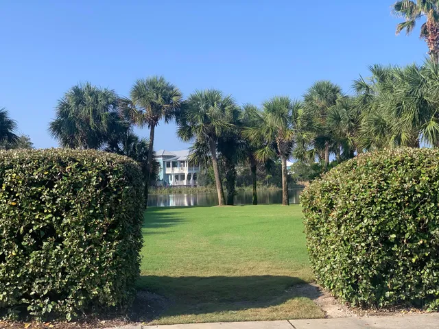 a body of water with a tree in the background