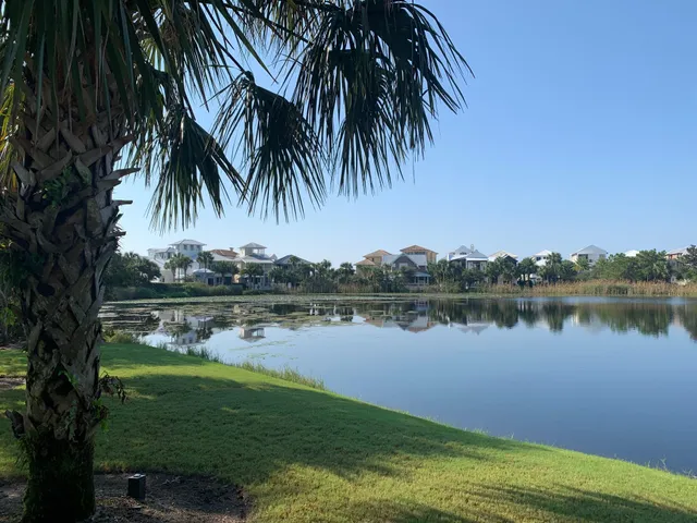 a view of outdoor space with palm trees