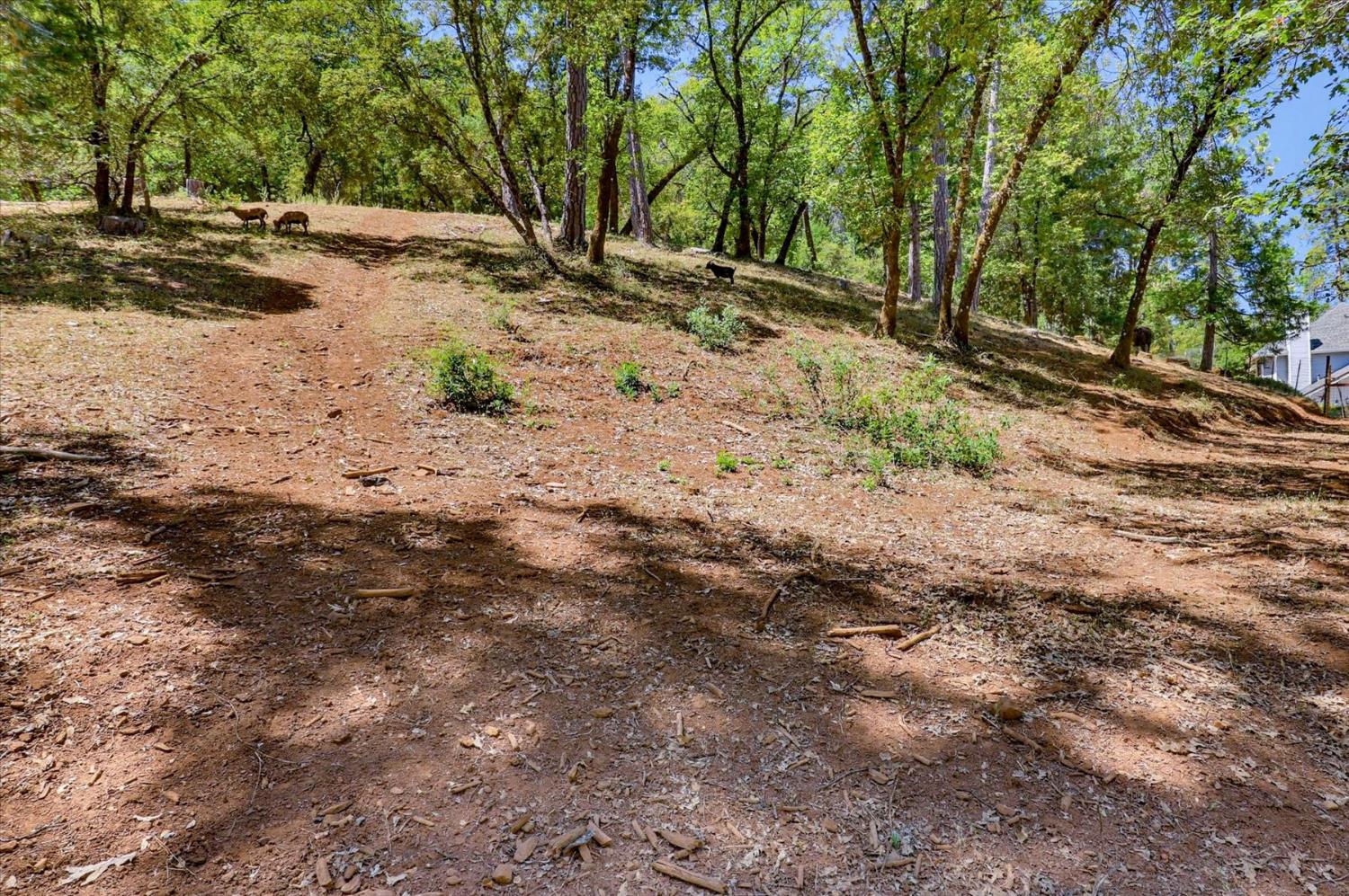 19407 Tiger Tail Road Grass Valley, CA 95949 - Photo 82 of 93