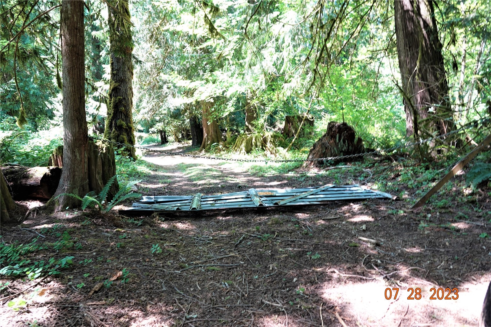 135 Cedar Grove Road Randle, WA 98377 - Photo 1 of 30 Gallery Image 1