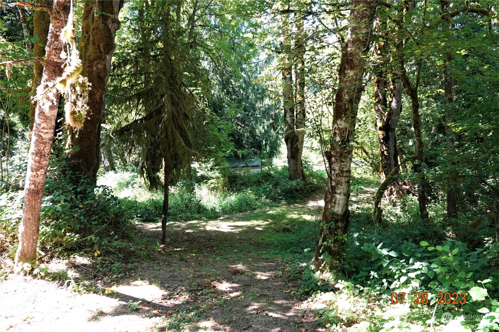 135 Cedar Grove Road Randle, WA 98377 - Photo 12 of 30 Gallery Image 12