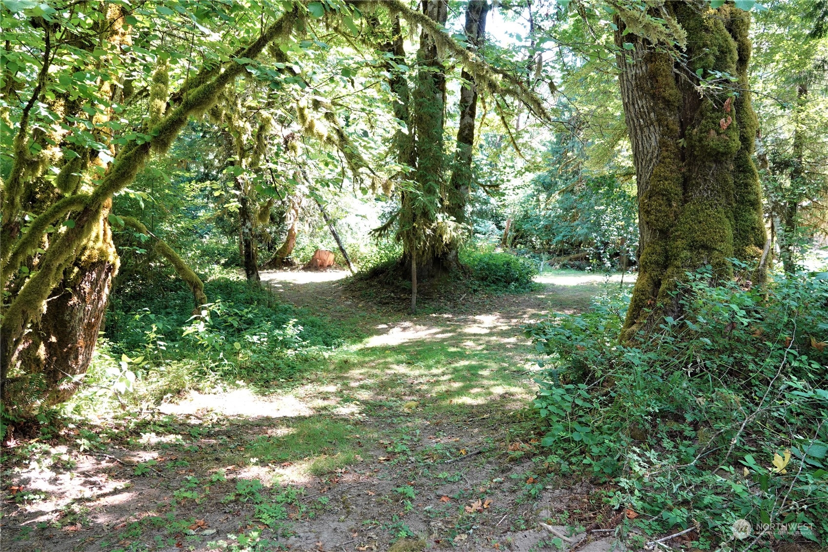 135 Cedar Grove Road Randle, WA 98377 - Photo 14 of 30 Gallery Image 14