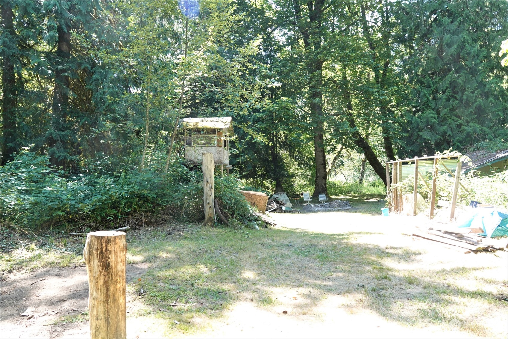 135 Cedar Grove Road Randle, WA 98377 - Photo 16 of 30 Gallery Image 16