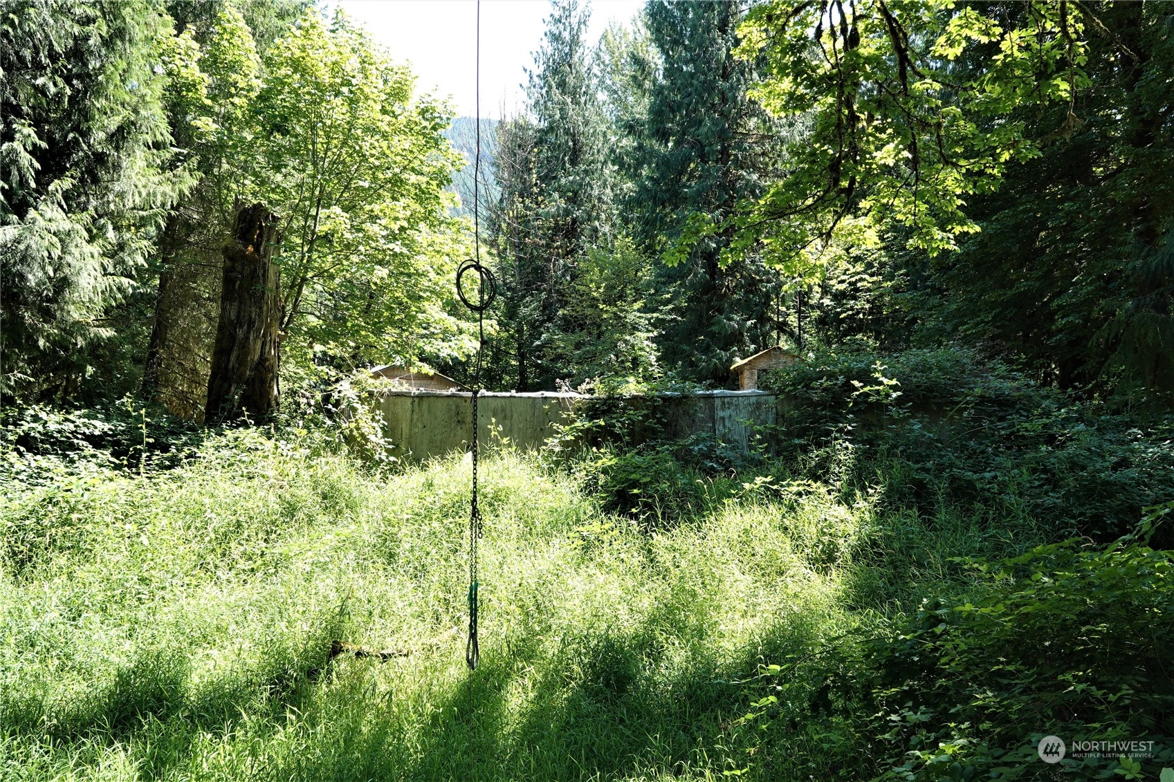 135 Cedar Grove Road Randle, WA 98377 - Photo 23 of 30 Gallery Image 23