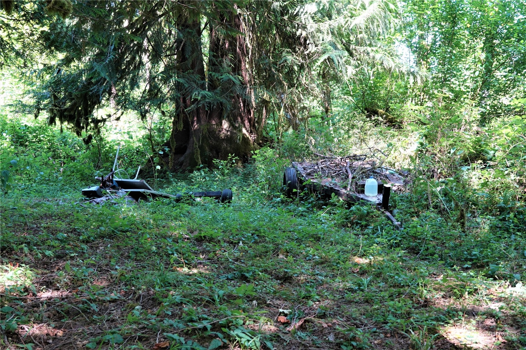 135 Cedar Grove Road Randle, WA 98377 - Photo 24 of 30 Gallery Image 24