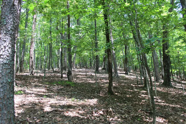 $19,000 | 0 Denny Ridge Road, Unit 4568, Jasper, GA 30143