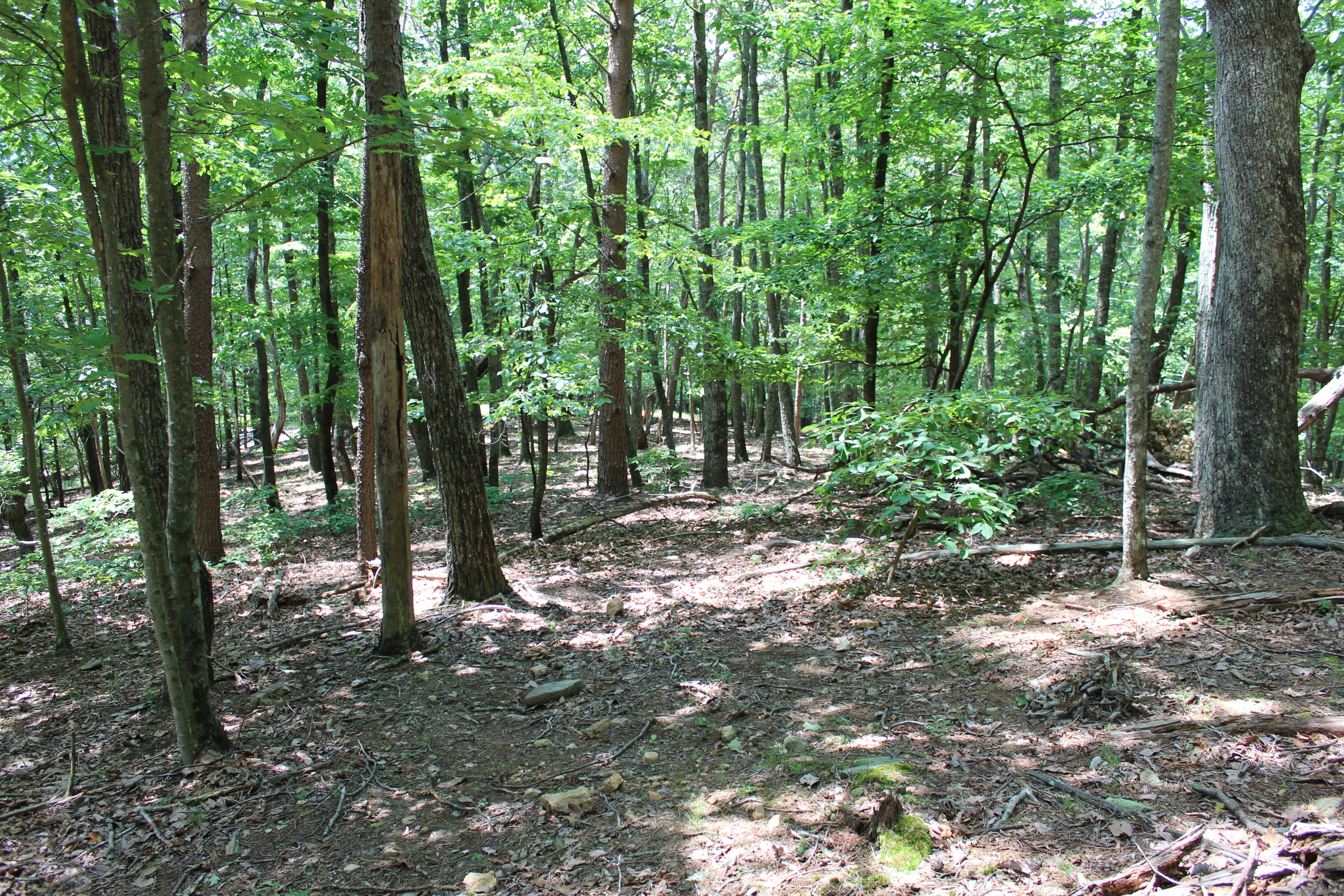 0 Denny Ridge Road, Unit 4568 Jasper, GA 30143 - Photo 11 of 40